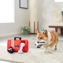 Frisco Gym Bag Hide & Seek Puzzle Plush Squeaky Dog Toy -Pet Supplies Discount Store 288913 PT3. AC SS1800 V1638289728