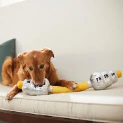 Frisco Weight Bar Wagazoo Plush Squeaky Dog Toy 7 Frisco Weight Bar Wagazoo Plush Squeaky Dog Toy -Pet Supplies Discount Store 288917 PT3. AC SS1800 V1638292413