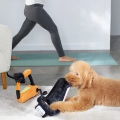 Frisco Treadmill & Bike Plush Squeaky Dog Toy, 2 Count 7 Frisco Treadmill & Bike Plush Squeaky Dog Toy, 2 Count -Pet Supplies Discount Store 288921 PT3. AC SS1800 V1638290517