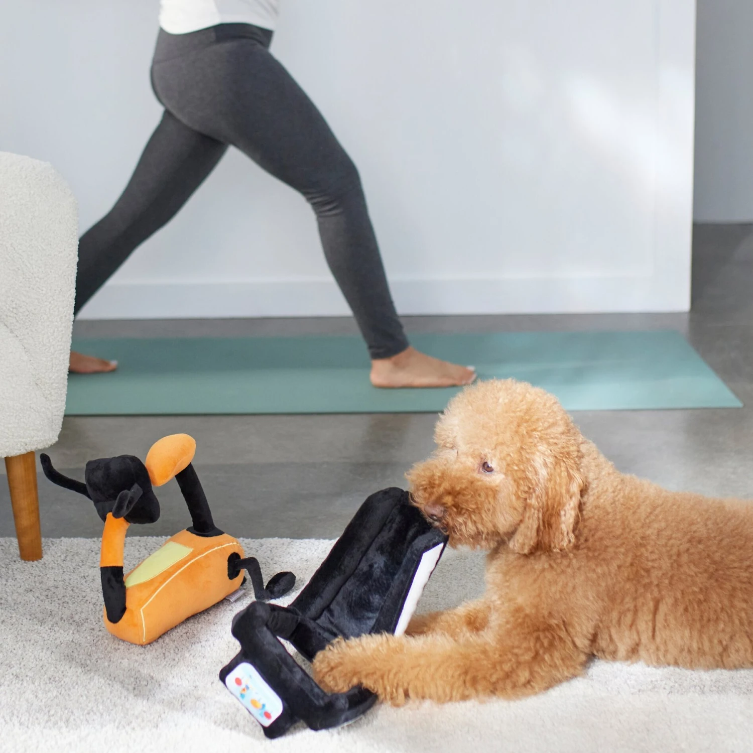 Frisco Treadmill & Bike Plush Squeaky Dog Toy, 2 Count 5 Frisco Treadmill & Bike Plush Squeaky Dog Toy, 2 Count - Image 3