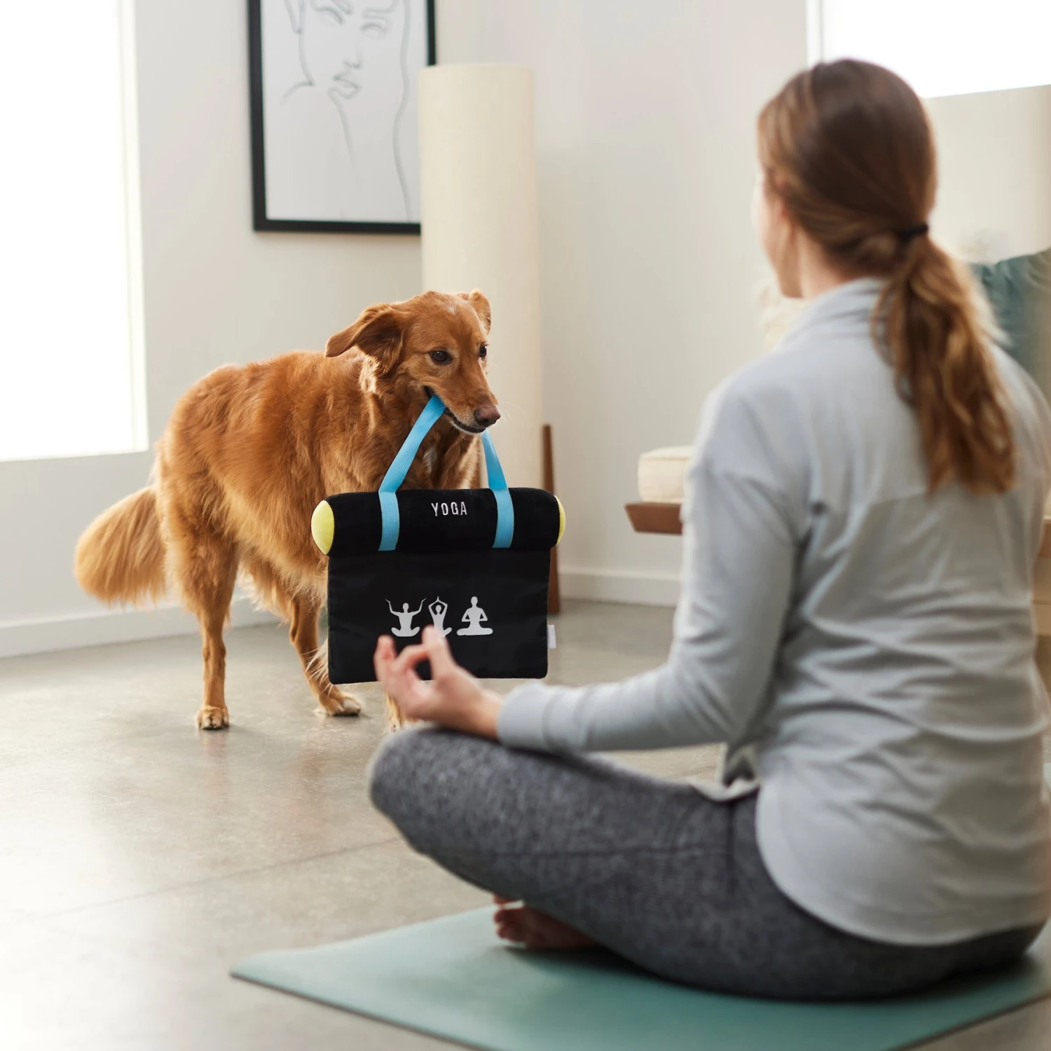 Frisco Yoga Mat Plush Squeaky Dog Toy 5 Frisco Yoga Mat Plush Squeaky Dog Toy - Image 3