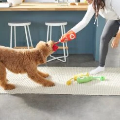 Frisco New Year, New Me Juice Cleanse Plush Squeaky Dog Toy -Pet Supplies Discount Store 288929 PT3. AC SS1800 V1638289348