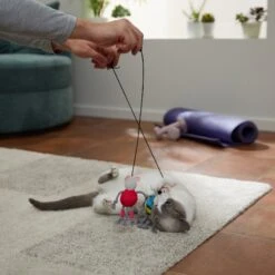 Frisco New Year, New Me Gym Bouncy Mice Plush Cat Toy With Catnip -Pet Supplies Discount Store 288949 PT3. AC SS1800 V1638289802