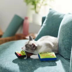 Frisco Protein Bar & Gym Membership Plush Cat Toy With Catnip 9 Frisco Protein Bar & Gym Membership Plush Cat Toy With Catnip -Pet Supplies Discount Store 288951 PT3. AC SS1800 V1638290814