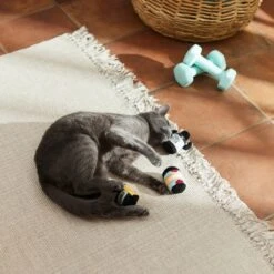 Frisco Pre-Workout & Protein Plush Cat Toy With Catnip, 3 Count -Pet Supplies Discount Store 288953 PT3. AC SS1800 V1638287817