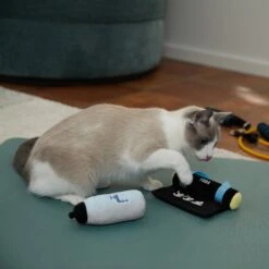 Frisco Yoga Mat & Water Bottle Plush Cat Toy With Catnip, 2 Count 7 Frisco Yoga Mat & Water Bottle Plush Cat Toy With Catnip, 2 Count -Pet Supplies Discount Store 288955 PT3. AC SS1800 V1638289648