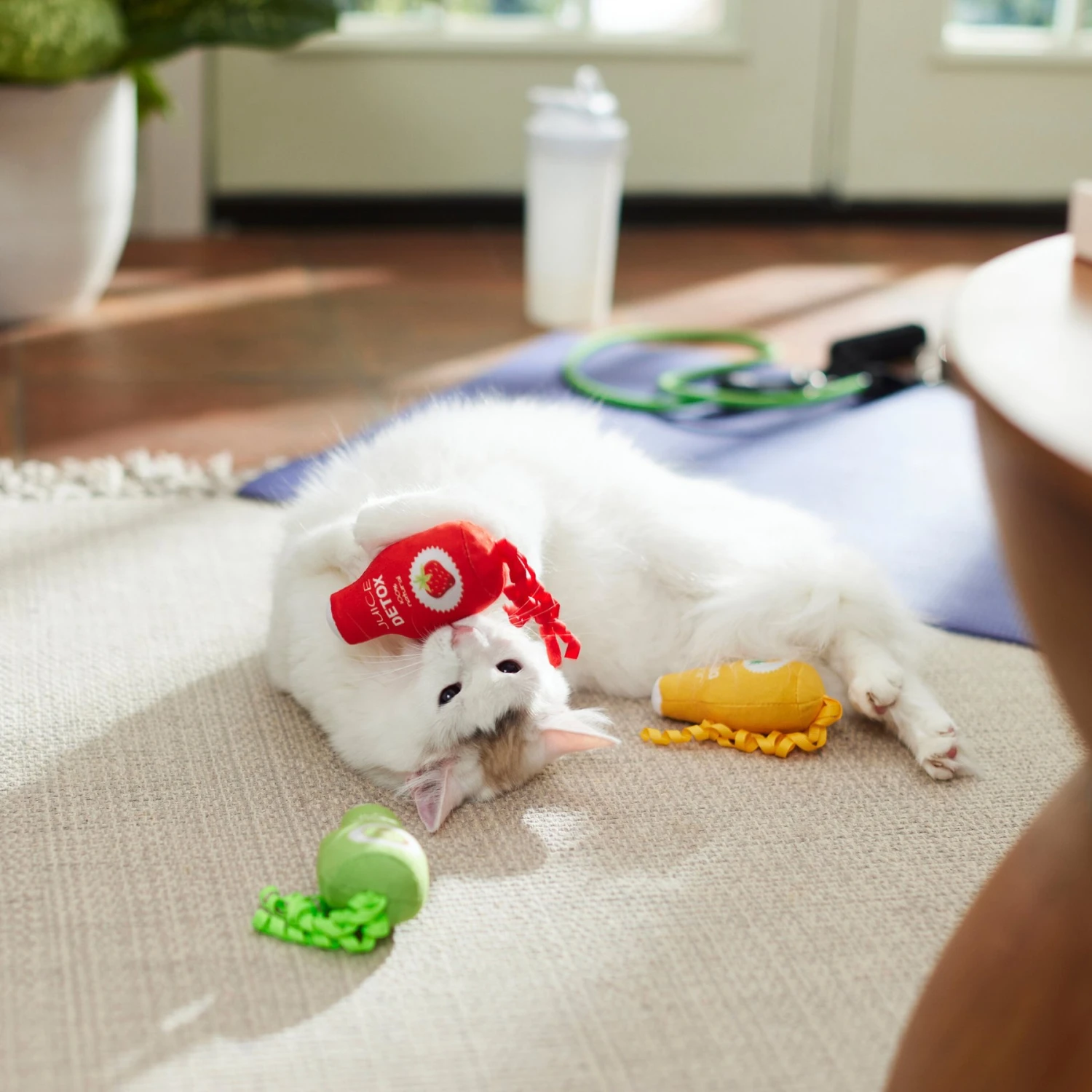 Frisco New Year, New Me Juice Cleanse Plush Cat Toy With Catnip 5 Frisco New Year, New Me Juice Cleanse Plush Cat Toy With Catnip - Image 3