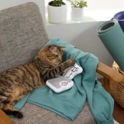 Frisco Scale & Message Bubble Plush Cat Toy With Catnip, 2 Count 7 Frisco Scale & Message Bubble Plush Cat Toy With Catnip, 2 Count -Pet Supplies Discount Store 288959 PT3. AC SS1800 V1638288401