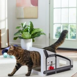 Frisco Treadmill Cardboard Cat House 9 Frisco Treadmill Cardboard Cat House -Pet Supplies Discount Store 288967 PT3. AC SS1800 V1638288289