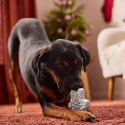 Frisco Holiday Nylon Snowflake Dog Chew Toy, Peanut Butter Flavor, Medium 9 Frisco Holiday Nylon Snowflake Dog Chew Toy, Peanut Butter Flavor, Medium -Pet Supplies Discount Store 291387 PT3. AC SS1800 V1629306692