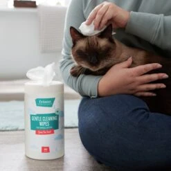 Frisco Gentle Cleaning Waterless Grooming Wipes For Puppies & Kittens, Green Tea Scent -Pet Supplies Discount Store 291592 PT5. AC SS1800 V1627306905
