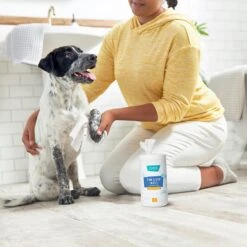 Frisco Deodorizing Paw & Bum Waterless Grooming Wipes For Dogs & Cats -Pet Supplies Discount Store 291593 PT4. AC SS1800 V1627654025
