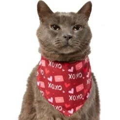 Frisco Love Letters Dog & Cat Bandana -Pet Supplies Discount Store 292051 PT2. AC SS1800 V1637269050