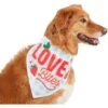 Frisco Love Bites Dog & Cat Bandana -Pet Supplies Discount Store 292054 MAIN. AC SS1800 V1637268755