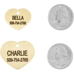 Frisco Brass Personalized Dog & Cat ID Tag, Heart -Pet Supplies Discount Store 296197 PT5. AC SS1800 V1628186498