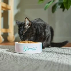 Frisco Watercolors Ceramic Personalized Dog Bowl -Pet Supplies Discount Store 296664 PT3. AC SS1800 V1625764646