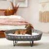 Frisco Elevated Rectangle Wicker Dog & Cat Bed With Eyelash Faux Fur Cushion 1 Frisco Elevated Rectangle Wicker Dog & Cat Bed With Eyelash Faux Fur Cushion -Pet Supplies Discount Store 296679 MAIN. AC SS1800 V1633727657
