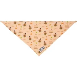 Frisco Quirky Thanksgiving Personalized Dog & Cat Bandana 14 Frisco Quirky Thanksgiving Personalized Dog & Cat Bandana -Pet Supplies Discount Store 296986 PT3. AC SS1800 V1627654956
