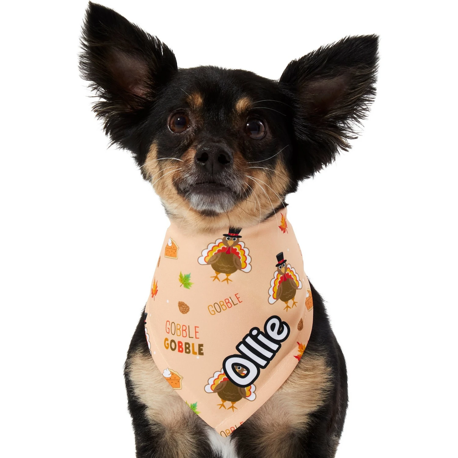Frisco Quirky Thanksgiving Personalized Dog & Cat Bandana 9 Frisco Quirky Thanksgiving Personalized Dog & Cat Bandana - Image 7