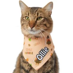 Frisco Quirky Thanksgiving Personalized Dog & Cat Bandana 18 Frisco Quirky Thanksgiving Personalized Dog & Cat Bandana -Pet Supplies Discount Store 296986 PT7. AC SS1800 V1627654903