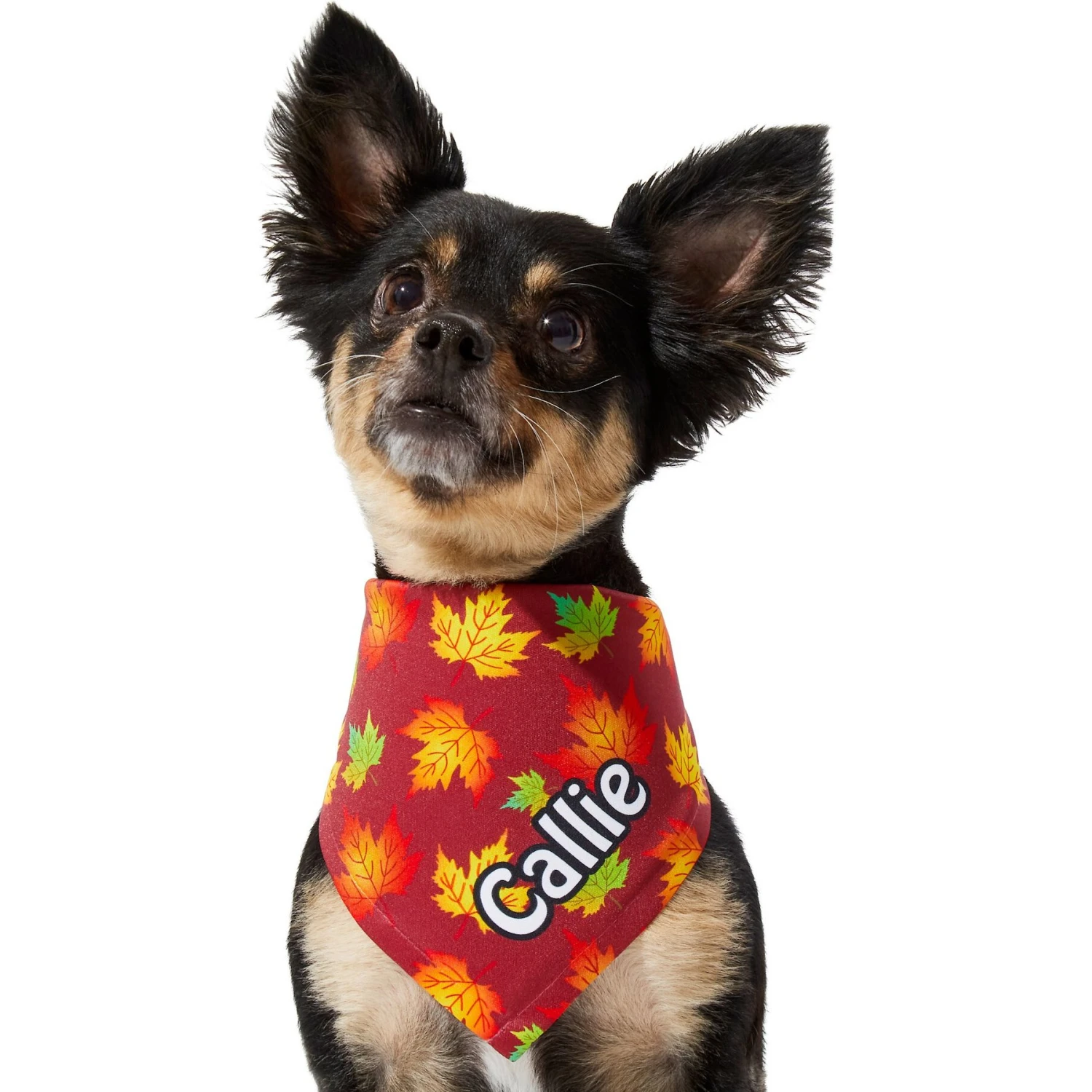 Frisco Fall Leaves Personalized Dog & Cat Bandana 9 Frisco Fall Leaves Personalized Dog & Cat Bandana - Image 7