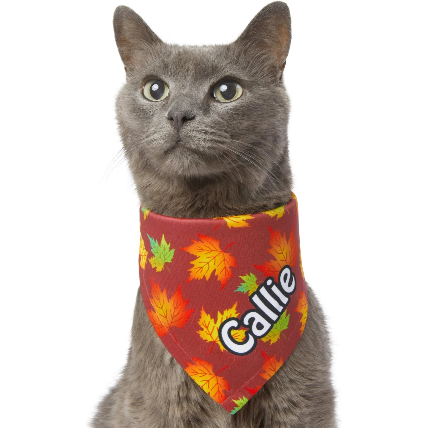 Frisco Fall Leaves Personalized Dog & Cat Bandana 10 Frisco Fall Leaves Personalized Dog & Cat Bandana - Image 8