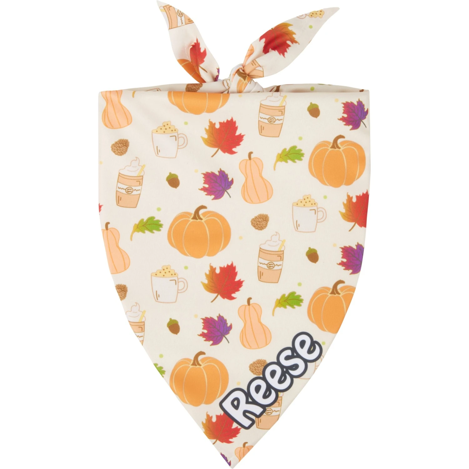 Frisco Pumpkin Spice Personalized Dog & Cat Bandana 3 Frisco Pumpkin Spice Personalized Dog & Cat Bandana