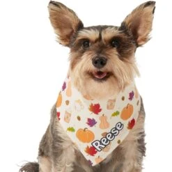 Frisco Pumpkin Spice Personalized Dog & Cat Bandana 17 Frisco Pumpkin Spice Personalized Dog & Cat Bandana -Pet Supplies Discount Store 296998 PT6. AC SS1800 V1627654408