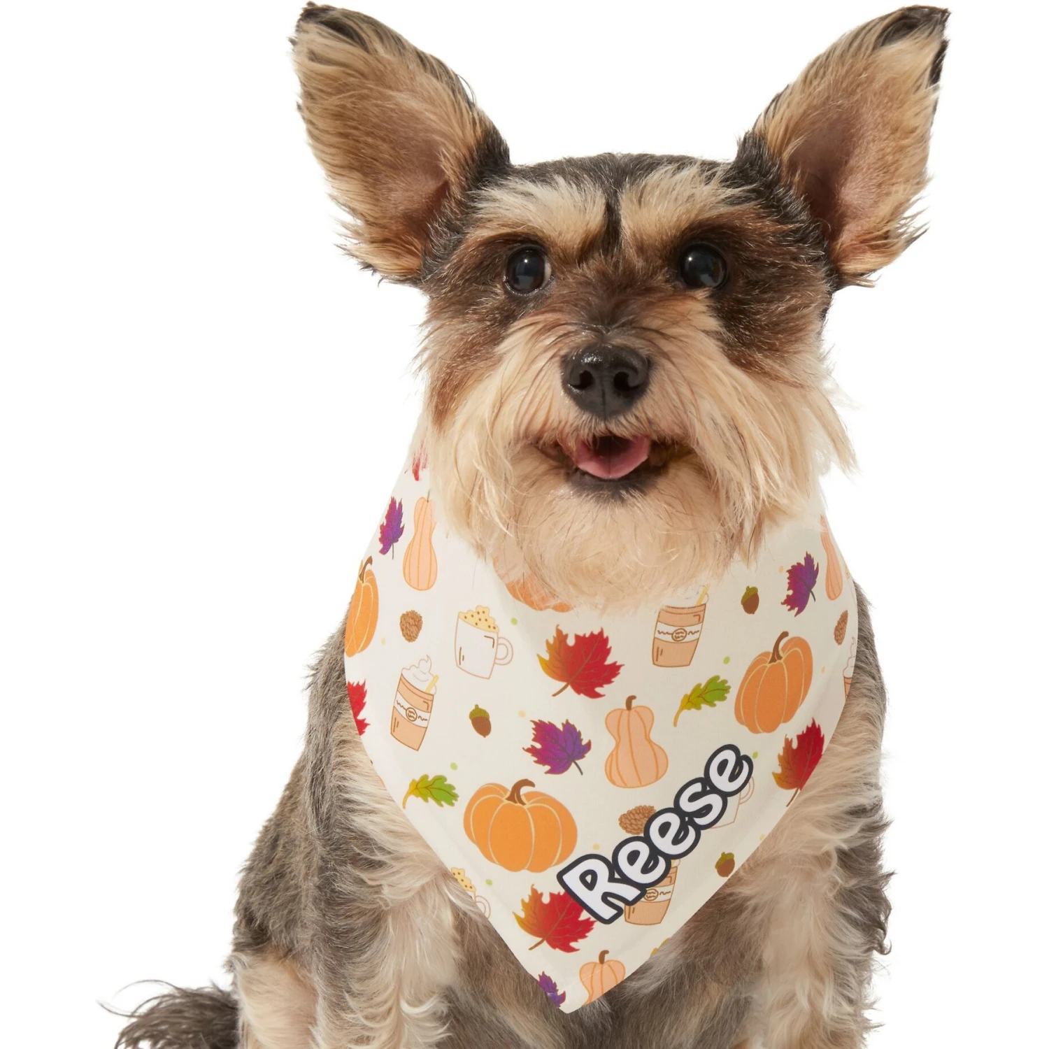 Frisco Pumpkin Spice Personalized Dog & Cat Bandana 9 Frisco Pumpkin Spice Personalized Dog & Cat Bandana - Image 7