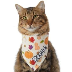 Frisco Pumpkin Spice Personalized Dog & Cat Bandana 18 Frisco Pumpkin Spice Personalized Dog & Cat Bandana -Pet Supplies Discount Store 296998 PT7. AC SS1800 V1627654273