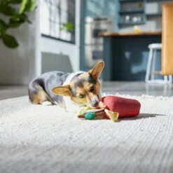 Frisco Brunch Bloody Mary Plush Squeaky Dog Toy -Pet Supplies Discount Store 297228 PT2. AC SS1800 V1642088343