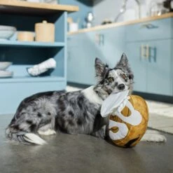 Frisco Brunch Cinnamon Roll Jumbo Plush Squeaky Dog Toy 7 Frisco Brunch Cinnamon Roll Jumbo Plush Squeaky Dog Toy -Pet Supplies Discount Store 297260 PT2. AC SS1800 V1642089012