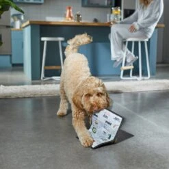 Frisco Brunch Menu Ballistic Nylon Flat Plush Squeaky Dog Toy -Pet Supplies Discount Store 297276 PT2. AC SS1800 V1642088788