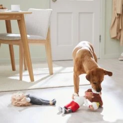 Frisco Brunch Chef & Waitress Plush Squeaky Dog Toy, 2 Count -Pet Supplies Discount Store 297278 PT2. AC SS1800 V1642088629