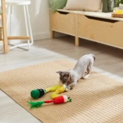 Frisco Brunch Bottomless Mimosas Plush Cat Toy With Catnip, 3 Count -Pet Supplies Discount Store 297288 PT2. AC SS1800 V1642088553