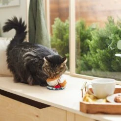 Frisco Brunch Teacup Plush Cat Toy With Catnip -Pet Supplies Discount Store 297292 PT2. AC SS1800 V1642088843