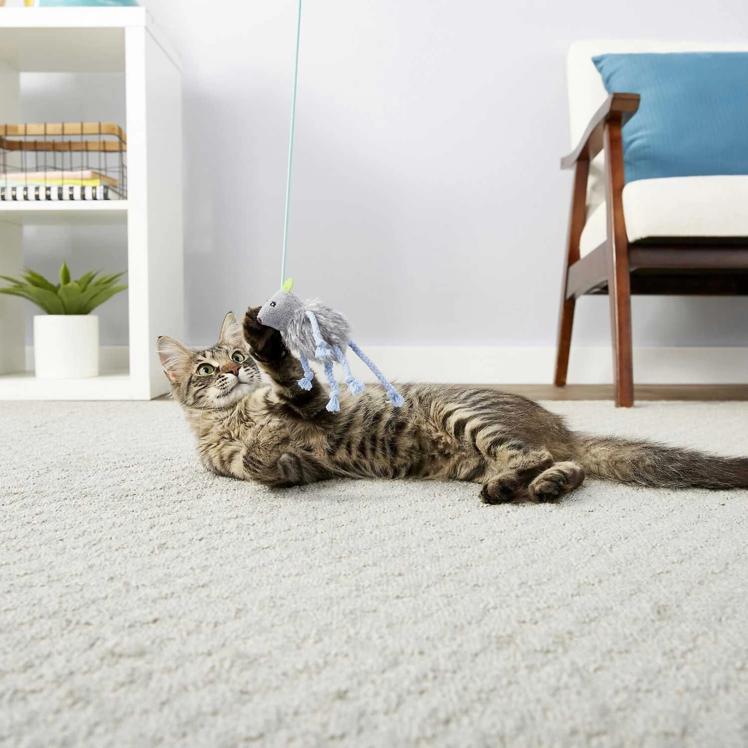 PureBites Chicken Breast Freeze-Dried Raw Cat Treats & Frisco Bouncy Mouse Plush Teaser Cat Toy With Catnip 8 PureBites Chicken Breast Freeze-Dried Raw Cat Treats & Frisco Bouncy Mouse Plush Teaser Cat Toy With Catnip - Image 6