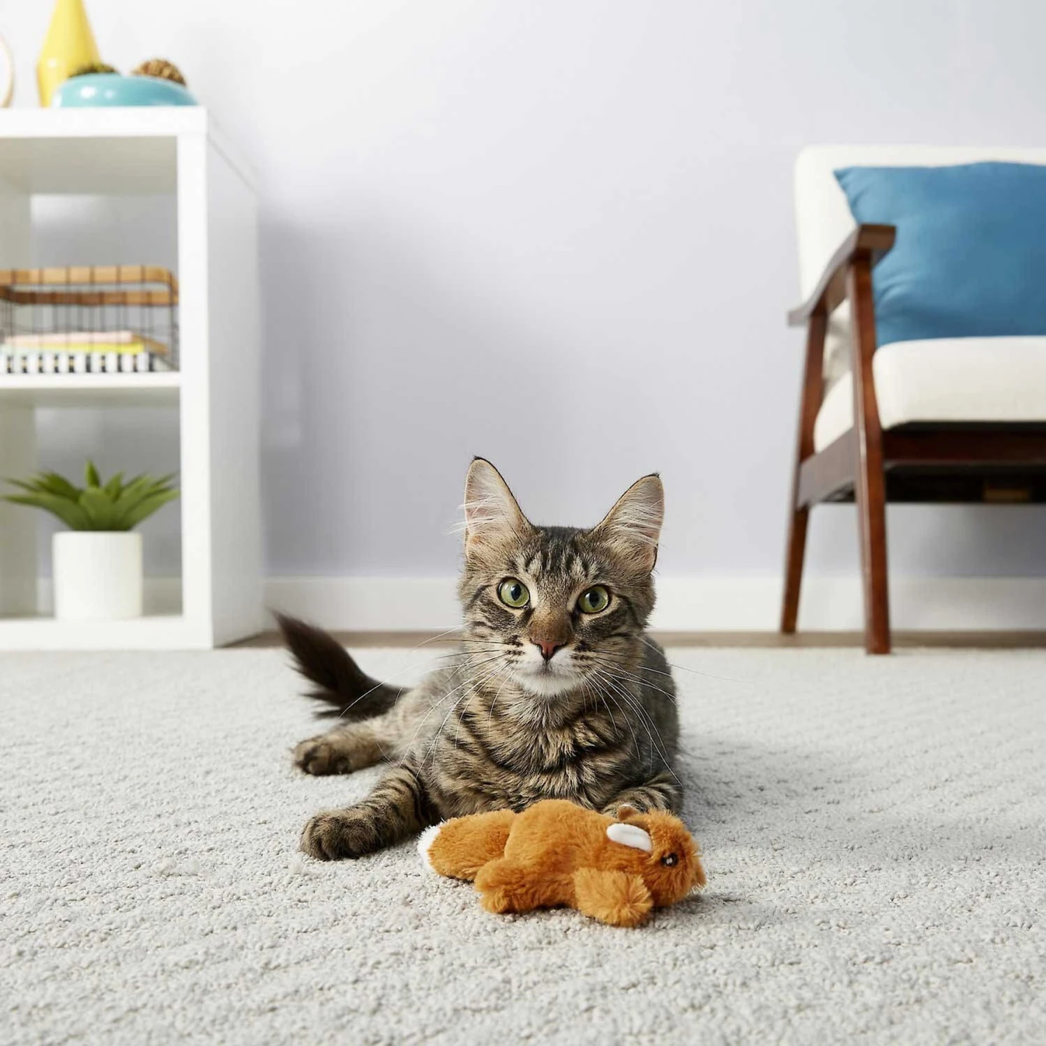 Sheba Meaty Tender Sticks Tuna Flavor Soft Adult Cat Treats & Frisco Squirrel Plush Cat Toy With Refillable Catnip 8 Sheba Meaty Tender Sticks Tuna Flavor Soft Adult Cat Treats & Frisco Squirrel Plush Cat Toy With Refillable Catnip - Image 6