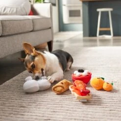 Frisco Lunar New Year Good Fortune Food Plush Squeaky Dog Toy -Pet Supplies Discount Store 298883 PT3. AC SS1800 V1640269293