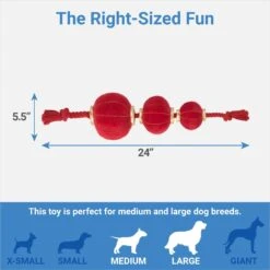 Frisco Lunar New Year Lantern Plush With Rope Squeaky Dog Toy -Pet Supplies Discount Store 298885 PT1. AC SS1800 V1673964150