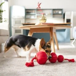 Frisco Lunar New Year Lantern Plush With Rope Squeaky Dog Toy -Pet Supplies Discount Store 298885 PT3. AC SS1800 V1640269279