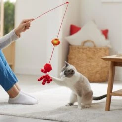 Frisco Lunar New Year Firecracker & Lantern Teaser Cat Toy With Catnip 7 Frisco Lunar New Year Firecracker & Lantern Teaser Cat Toy With Catnip -Pet Supplies Discount Store 298901 PT3. AC SS1800 V1640269210