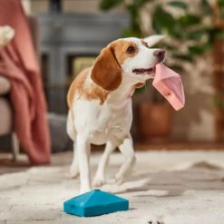 Frisco Valentine Love Letters Latex Squeaky Dog Toy -Pet Supplies Discount Store 298925 PT3. AC SS1800 V1701365173