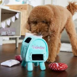 Frisco Valentine Love Letters Hide & Seek Puzzle Plush Squeaky Dog Toy 10 Frisco Valentine Love Letters Hide & Seek Puzzle Plush Squeaky Dog Toy -Pet Supplies Discount Store 298929 PT3. AC SS1800 V1638987486