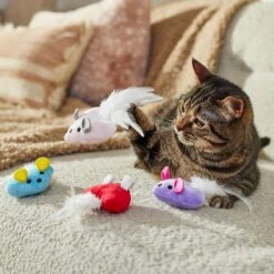 Frisco Valentine Heart Mice Plush Cat Toy With Catnip 8 Frisco Valentine Heart Mice Plush Cat Toy With Catnip -Pet Supplies Discount Store 298954 PT3. AC SS1800 V1701364814