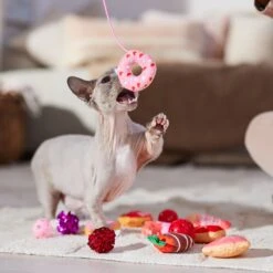 Frisco Valentine Variety Pack Cat Toy With Catnip, 13 Count 10 Frisco Valentine Variety Pack Cat Toy With Catnip, 13 Count -Pet Supplies Discount Store 298966 PT3. AC SS1800 V1701364858