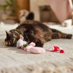 Frisco It's Raining Love Plush Cat Toy With Catnip, 4 Count 8 Frisco It's Raining Love Plush Cat Toy With Catnip, 4 Count -Pet Supplies Discount Store 298968 PT3. AC SS1800 V1701364859