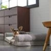 Frisco Boho Modern Couch Dog & Cat Bed -Pet Supplies Discount Store 299392 MAIN. AC SS1800 V1638288742