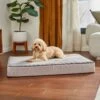 Frisco Ortho Lounger Dog & Cat Bed -Pet Supplies Discount Store 299465 MAIN. AC SS1800 V1638288352