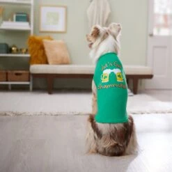 Frisco Let's Get Shamrocked Dog & Cat T-Shirt 13 Frisco Let's Get Shamrocked Dog & Cat T-Shirt -Pet Supplies Discount Store 300184 PT8. AC SS1800 V1639597401